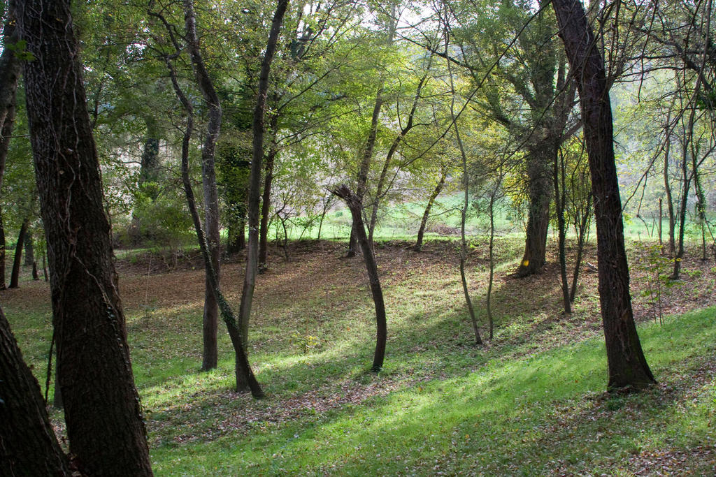 Agriturismo Biologico Villa Rosa Monte Guiduccio Bagian luar foto