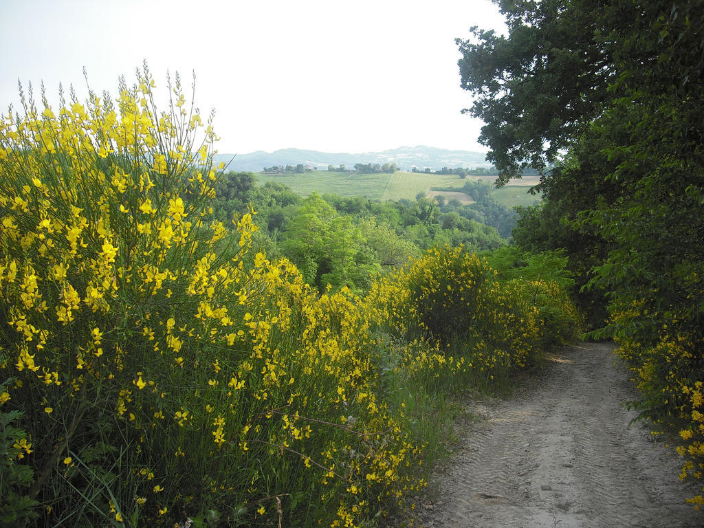 Agriturismo Biologico Villa Rosa Monte Guiduccio Bagian luar foto