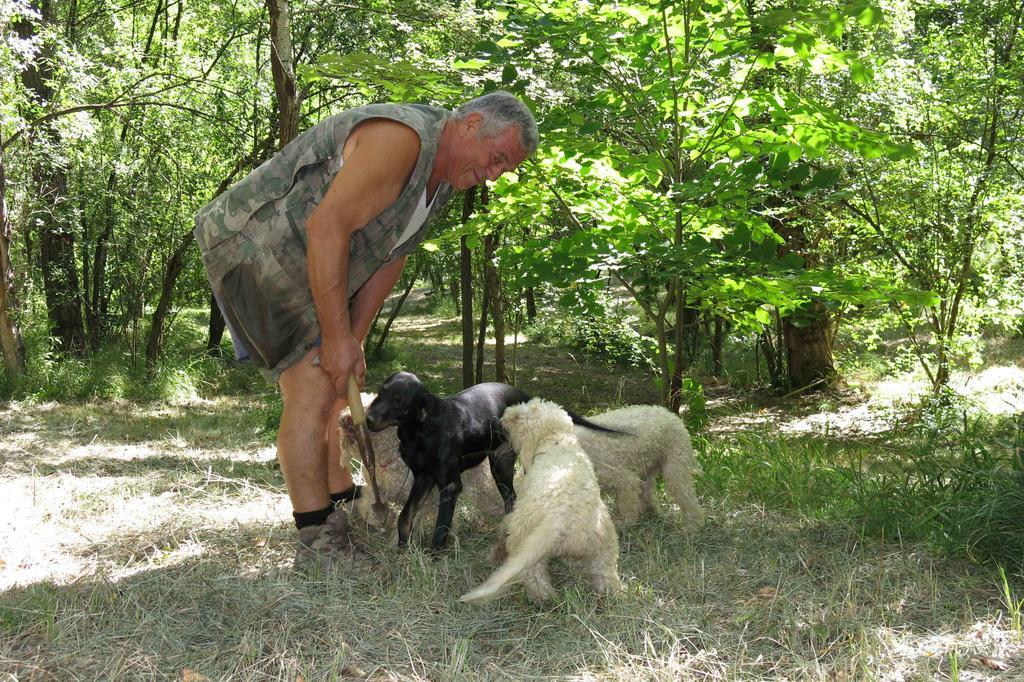 Agriturismo Biologico Villa Rosa Monte Guiduccio Bagian luar foto