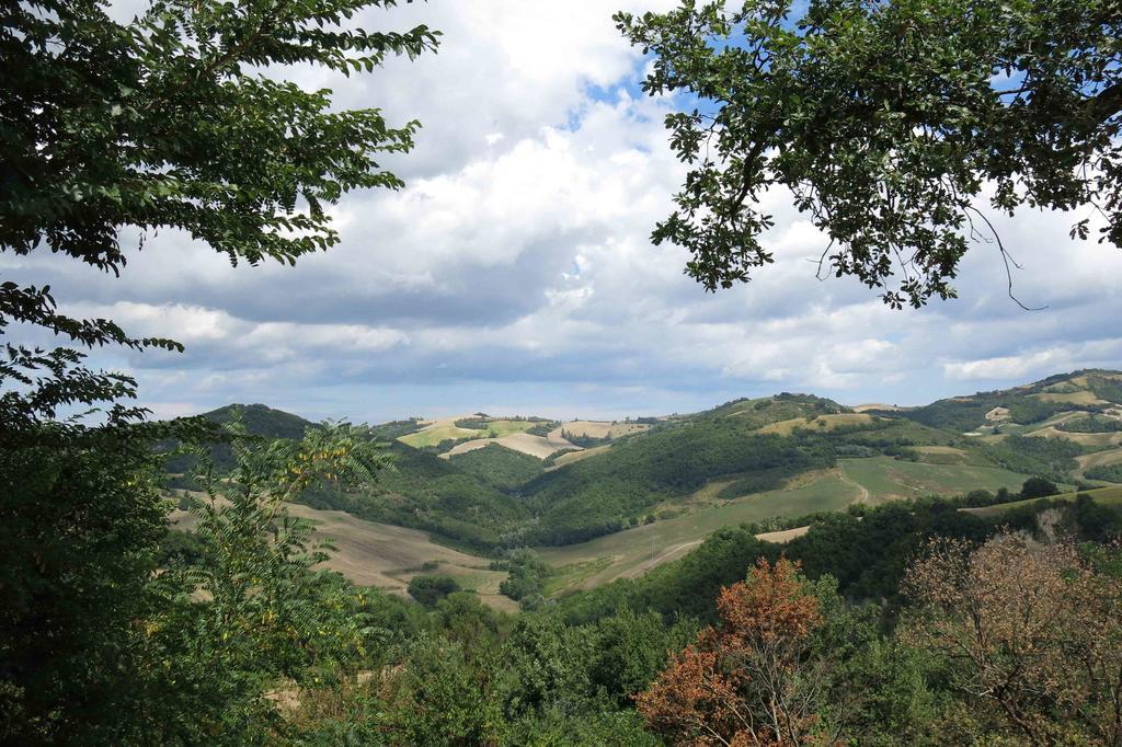 Agriturismo Biologico Villa Rosa Monte Guiduccio Bagian luar foto