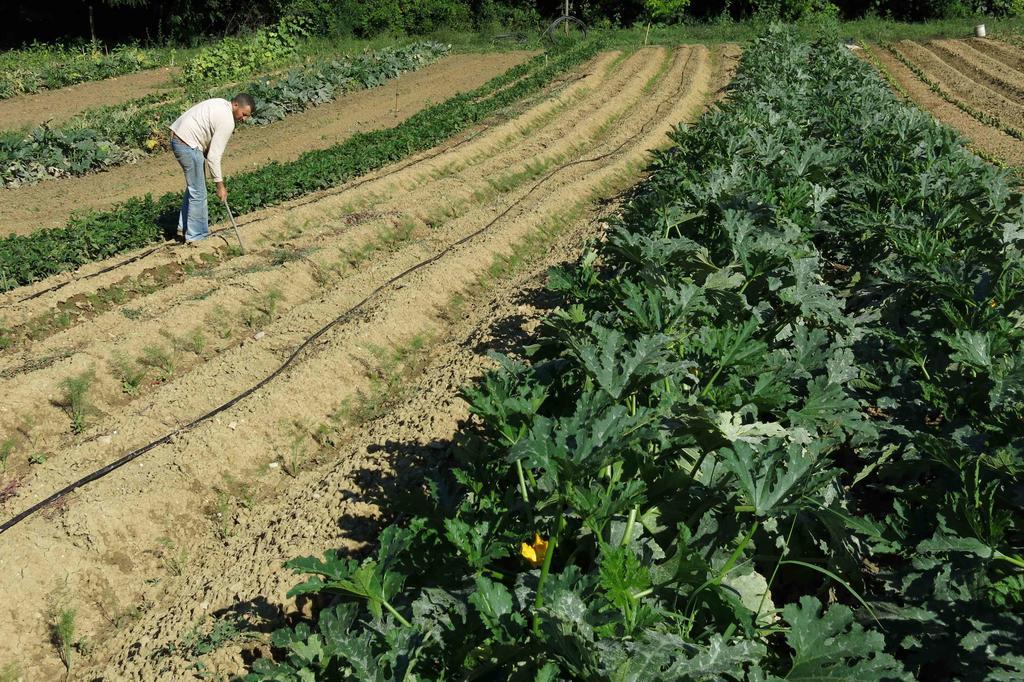 Agriturismo Biologico Villa Rosa Monte Guiduccio Bagian luar foto